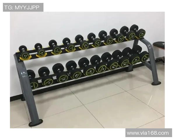获奖健身器材推荐：专业健身工具的评选