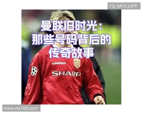 15以内足球明星号码的传奇故事与背后意义探讨